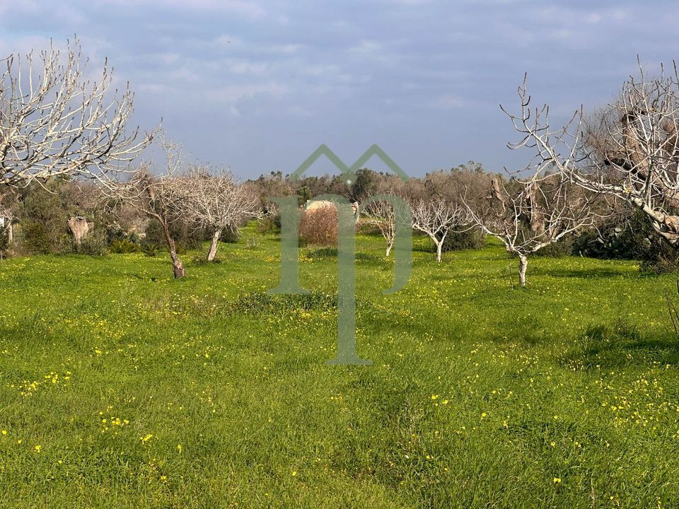 Helårsgrund i San Vito dei Normanni, Brindisi - foto 1